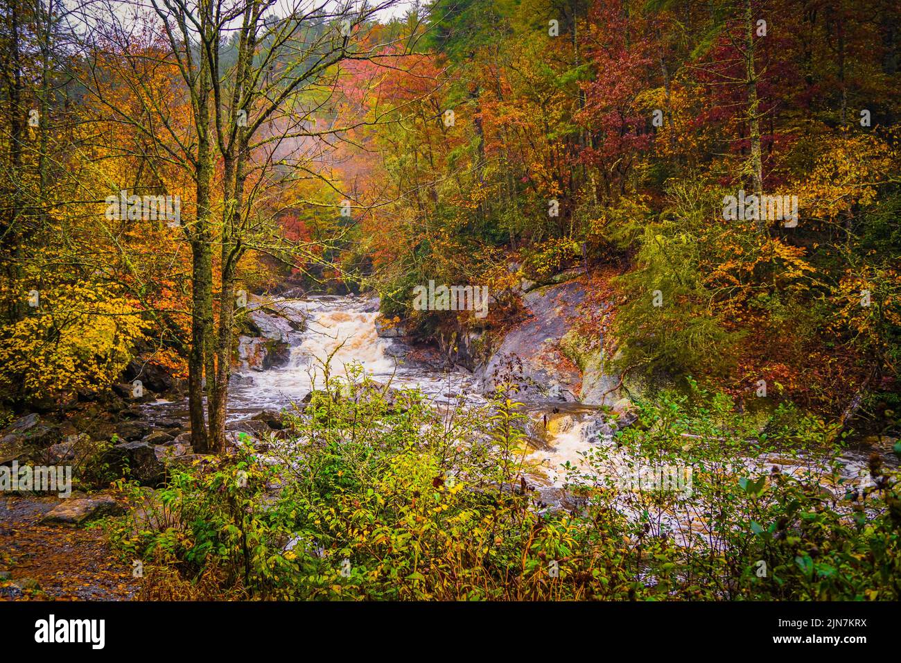 Fall foliage surrounds a rushing river waterfall in a North Carolina