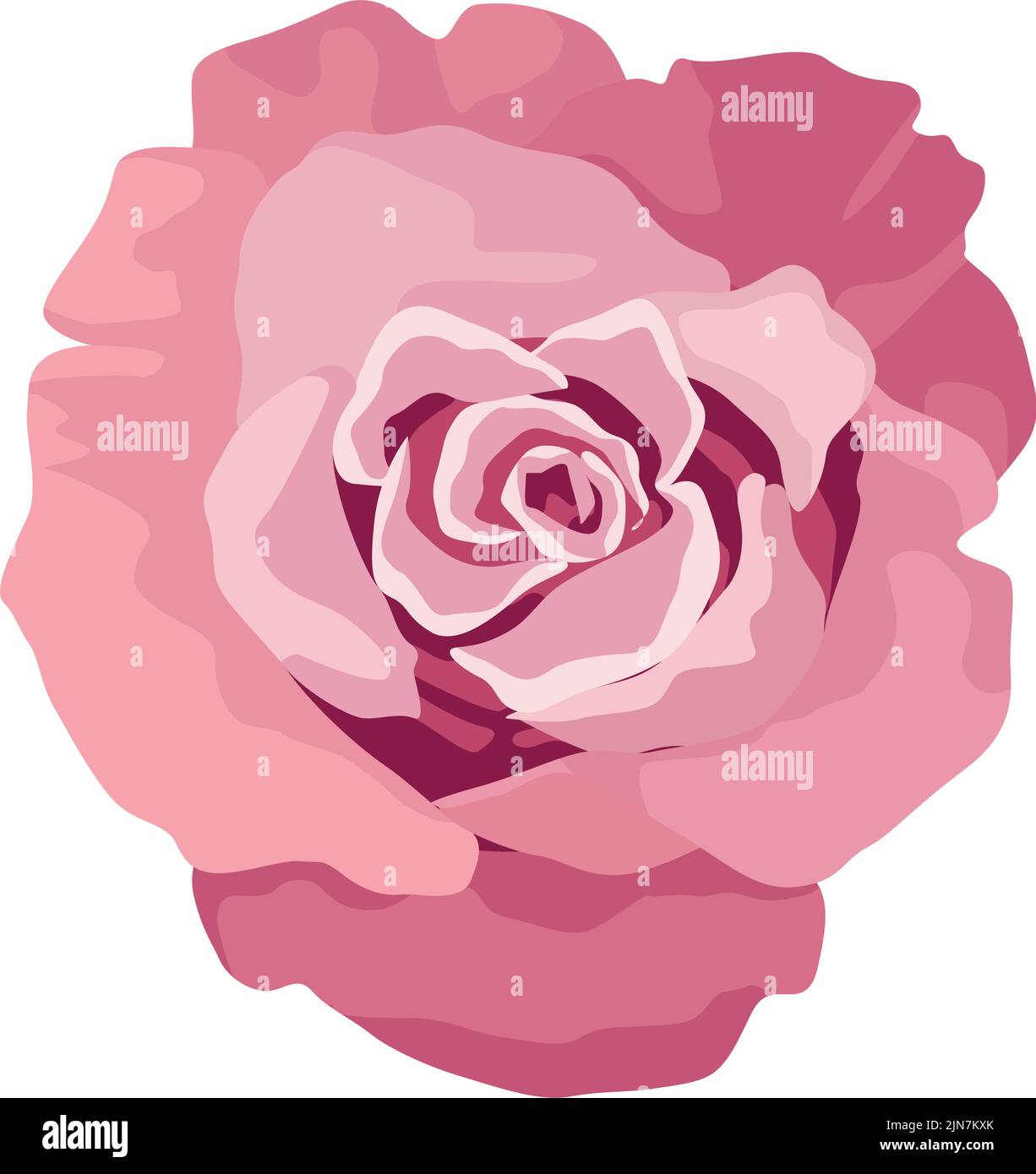pink rose flower Stock Vector Image & Art - Alamy
