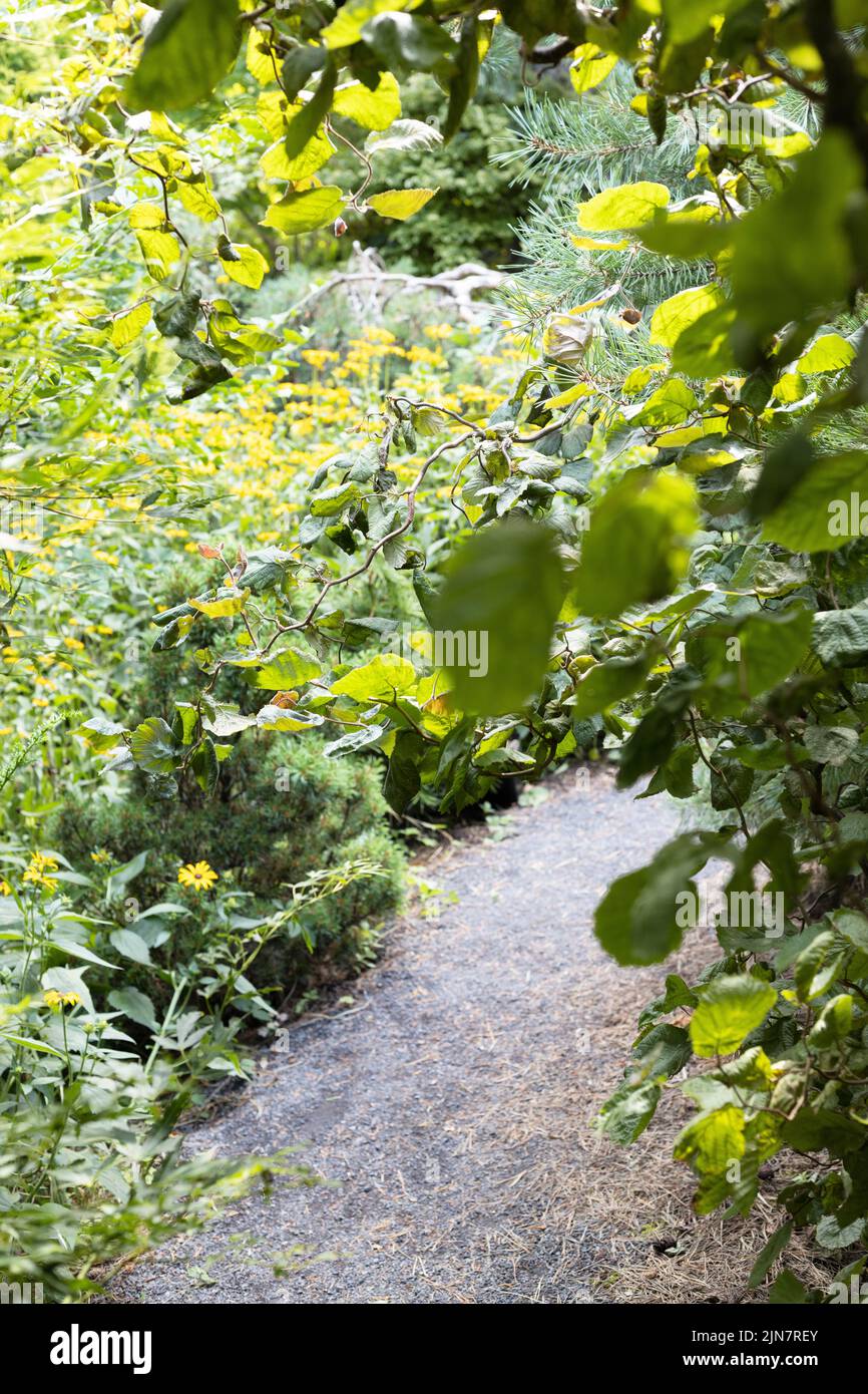 A narrow path in the conifer garden at the Oregon Garden in Silverton, Oregon. Stock Photo