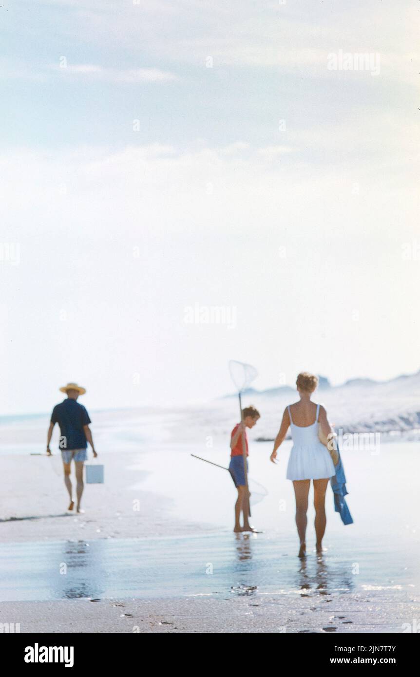 amateur bi boy beach