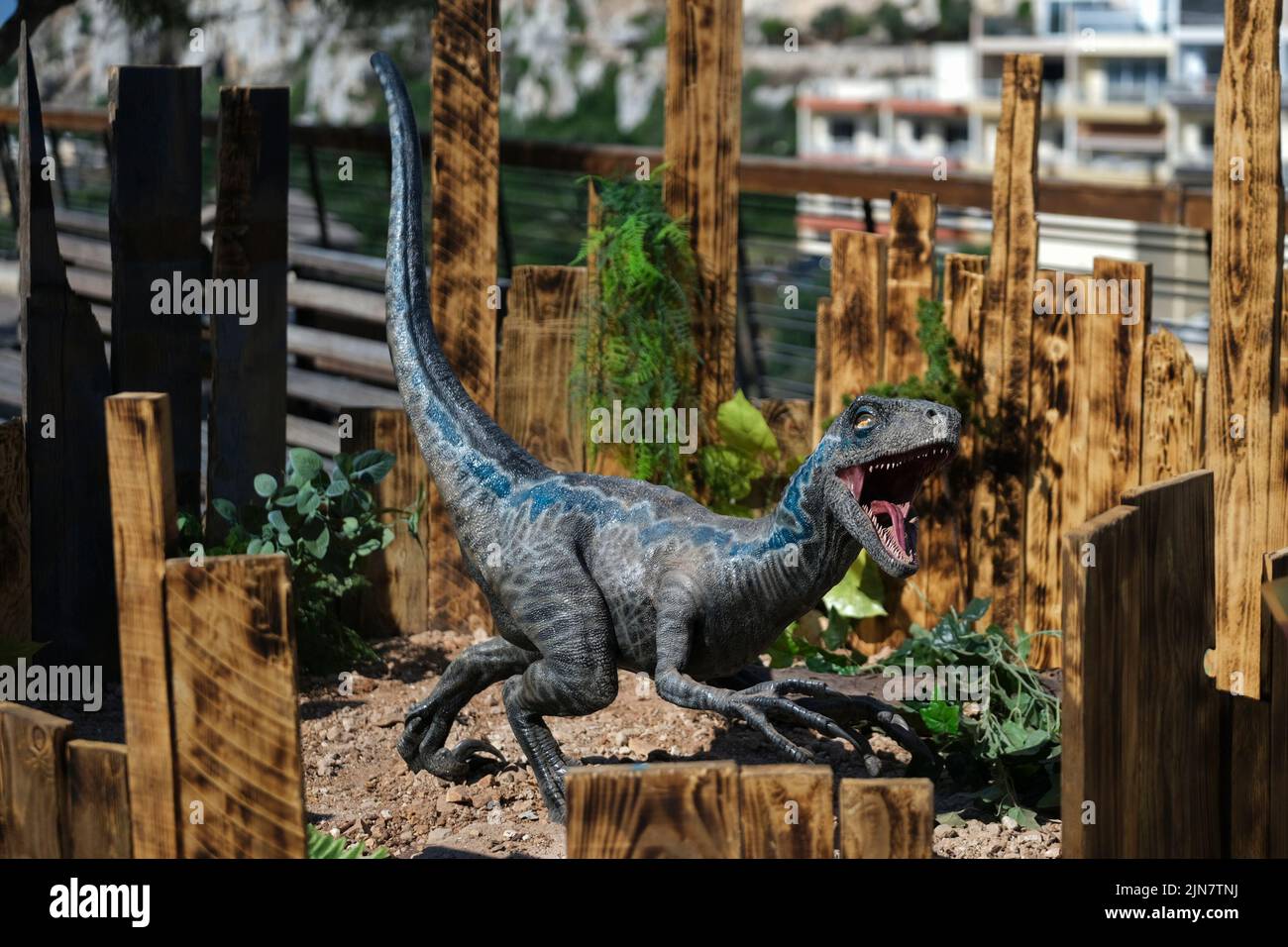 Mellieha, Malta. 9th Aug, 2022. Photo taken on Aug. 9, 2022 shows a dinosaur's model of the science fiction action film Jurassic World in Mellieha, Malta. Credit: Jonathan Borg/Xinhua/Alamy Live News Stock Photo