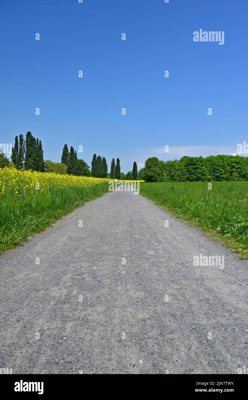 Vertical shot rural trail hi-res stock photography and images - Alamy