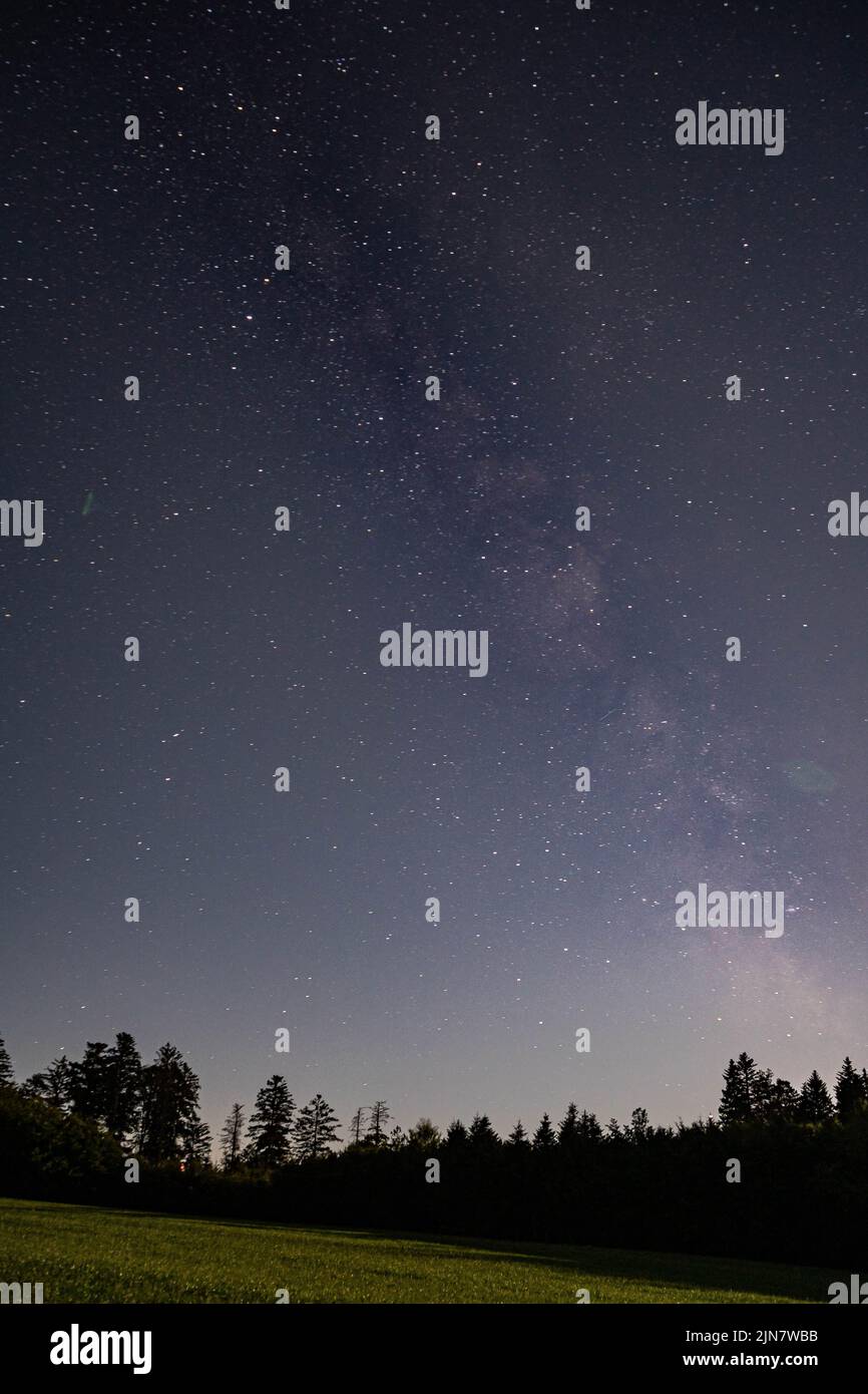 A vertical shot of a dark night sky full of stars in a green field ...