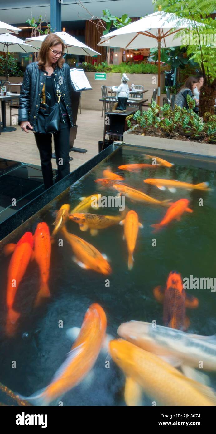 Woman looking at goldfish in restaurant pond Stock Photo