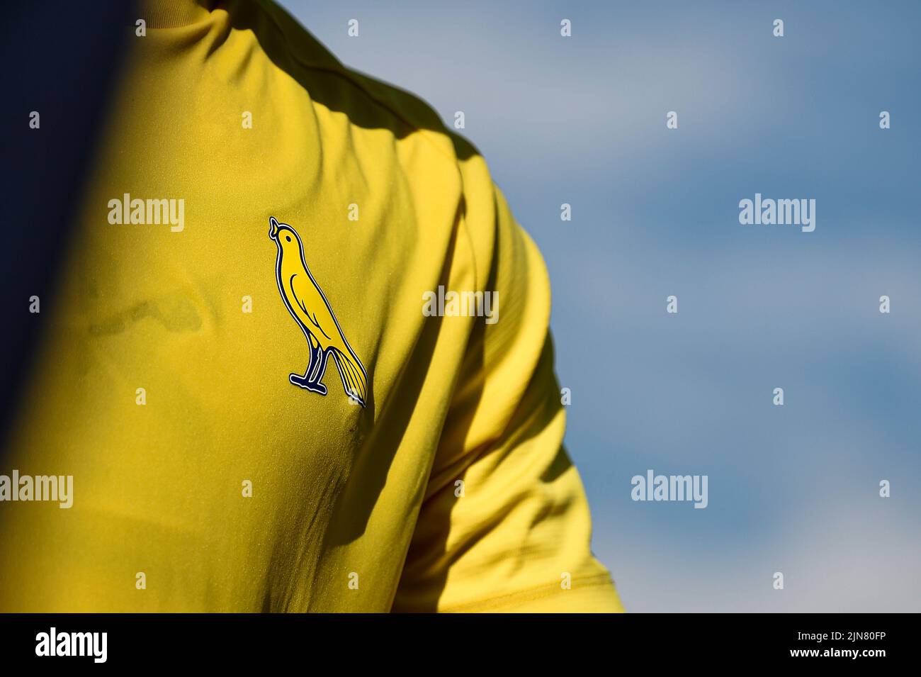 Modena, Italy. 08 August 2022. Mario Gargiulo of Modena FC gestures during  the Coppa Italia football match between Modena FC and US Sassuolo. Credit:  Nicolò Campo/Alamy Live News Stock Photo - Alamy