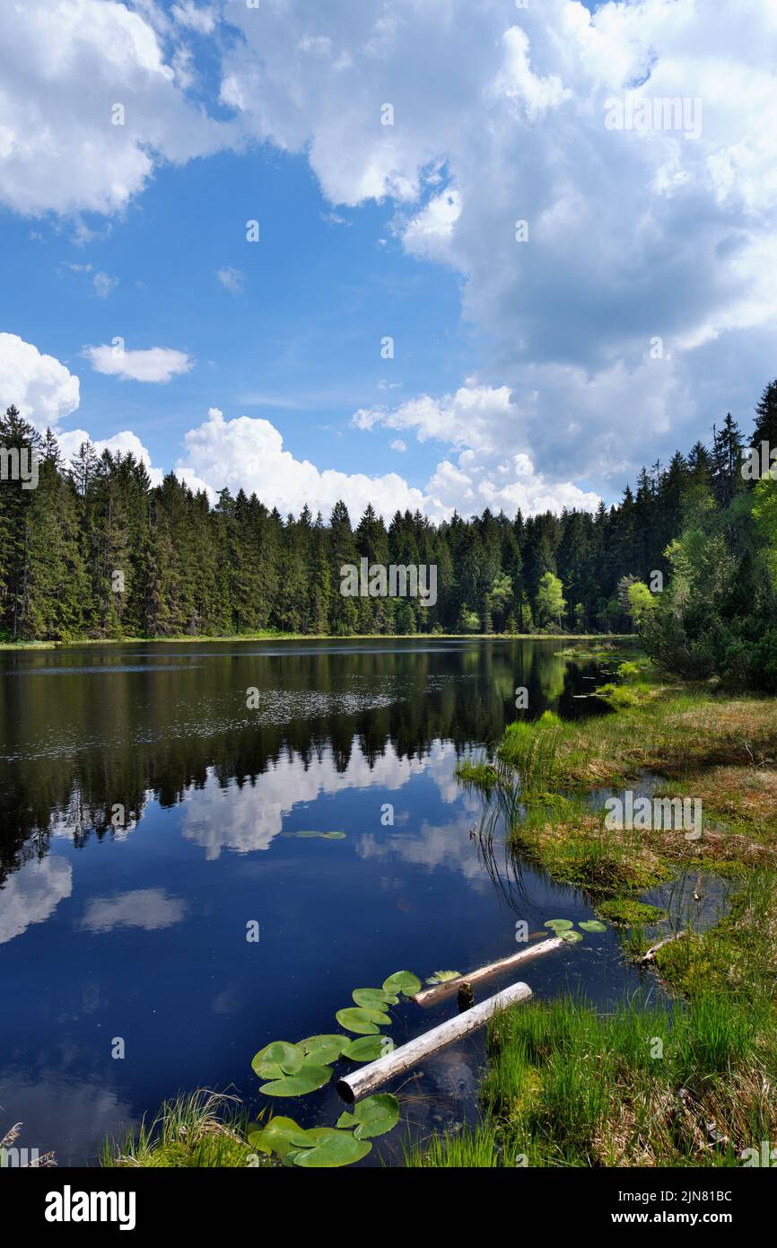 Herrenwieser See im Schwarzwald Stock Photo