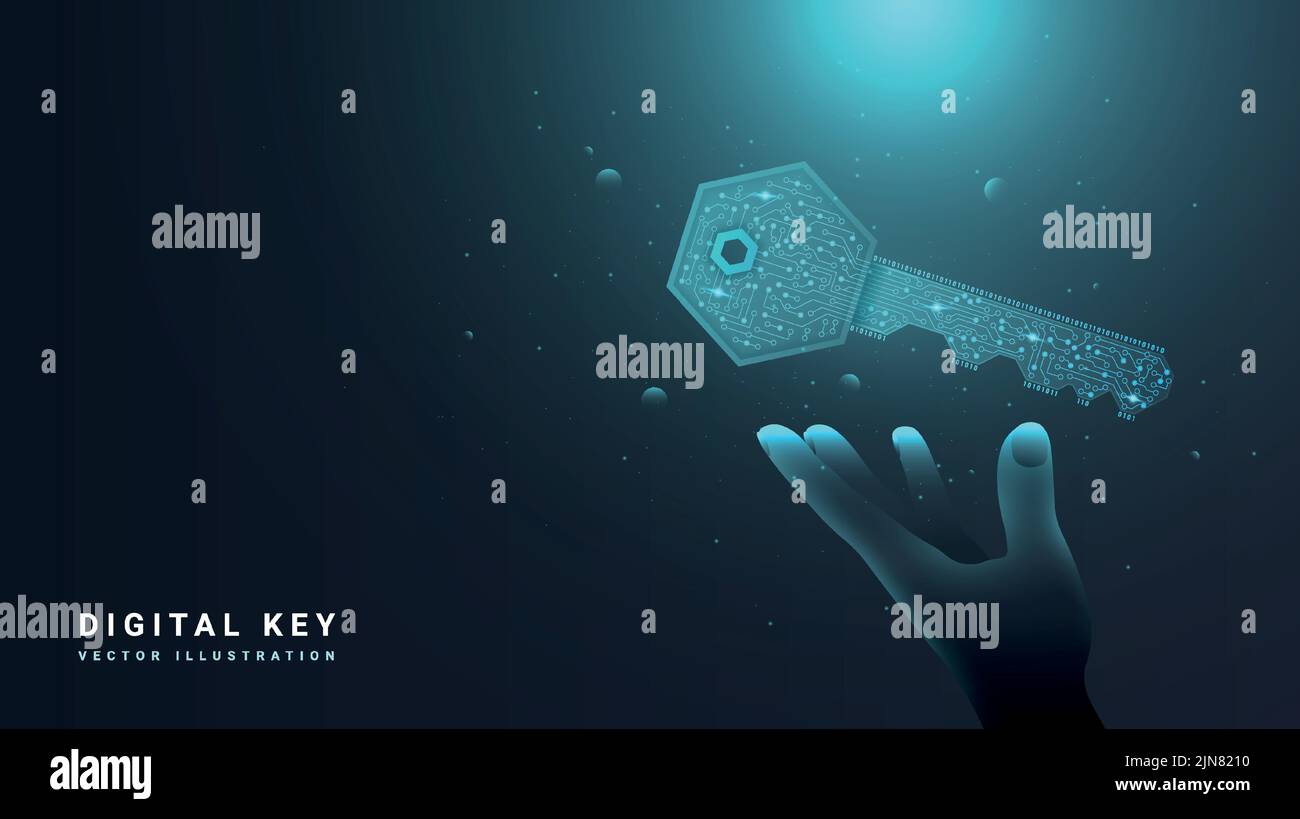 Digital key concept Stock Vector Image & Art Alamy