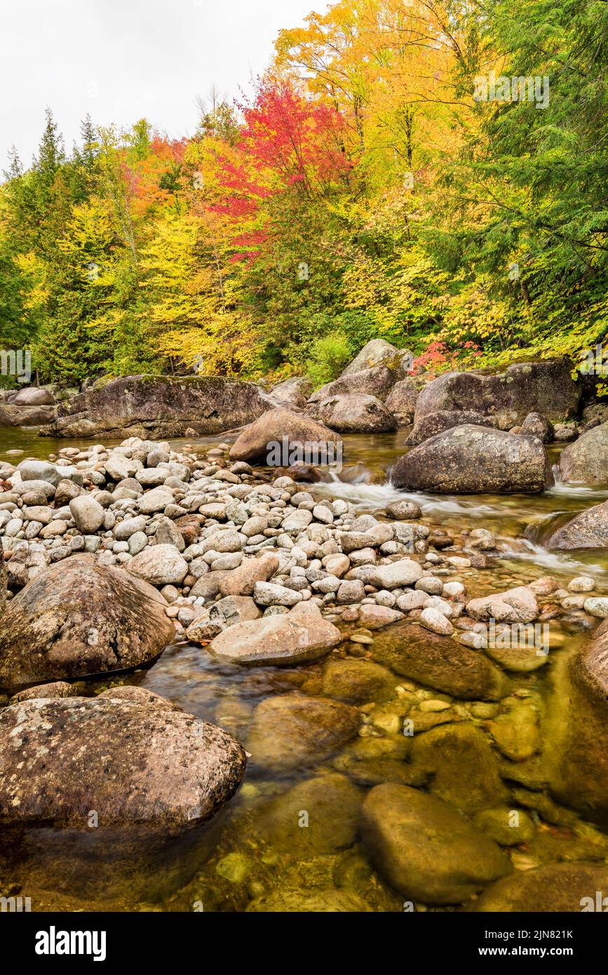 Bouquet River in fall, Adirondack Park, Essex County, New York Stock Photo
