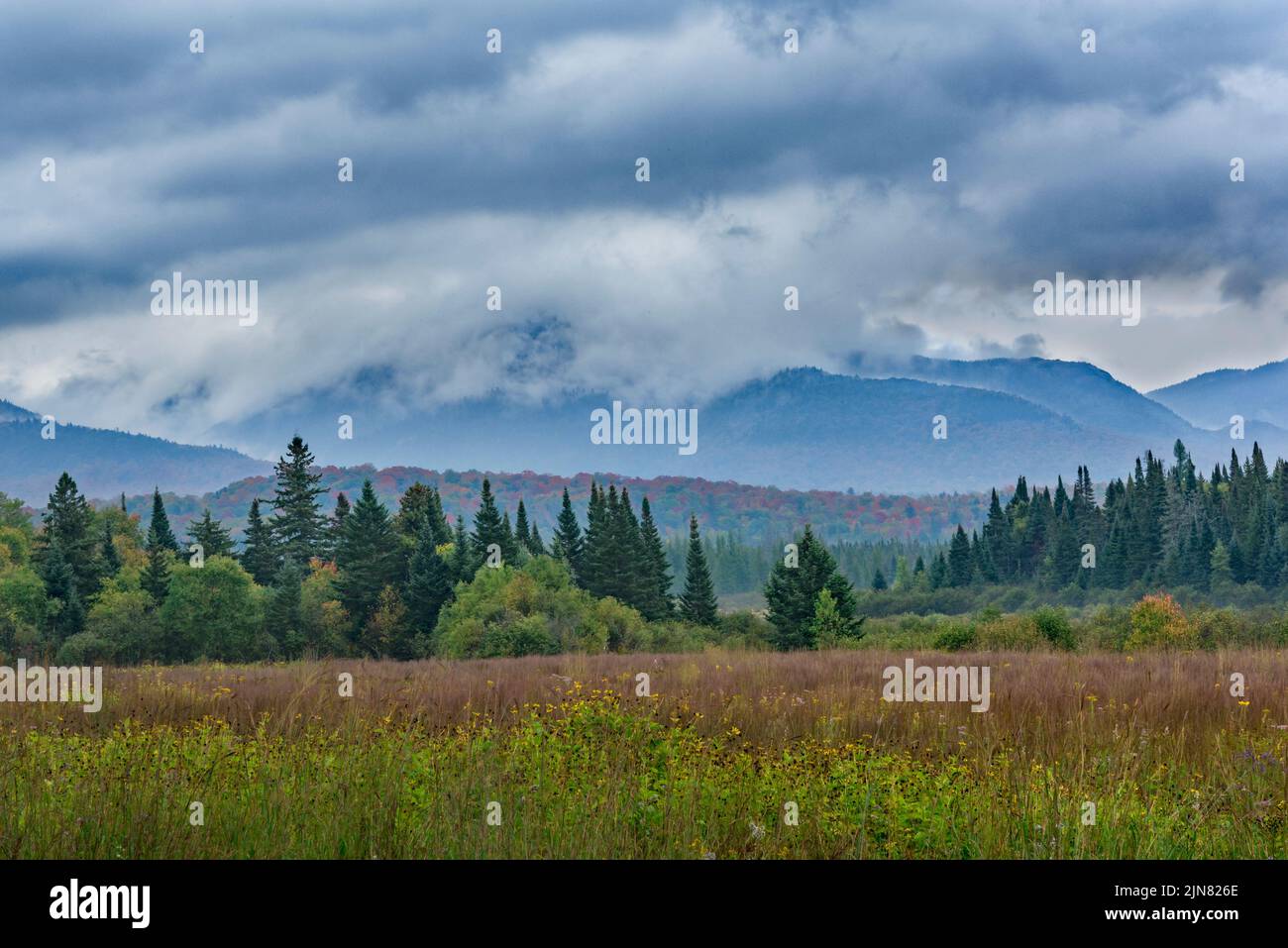 Early morning clouds gather in the Adirondack Park, Essex County, New York Stock Photo