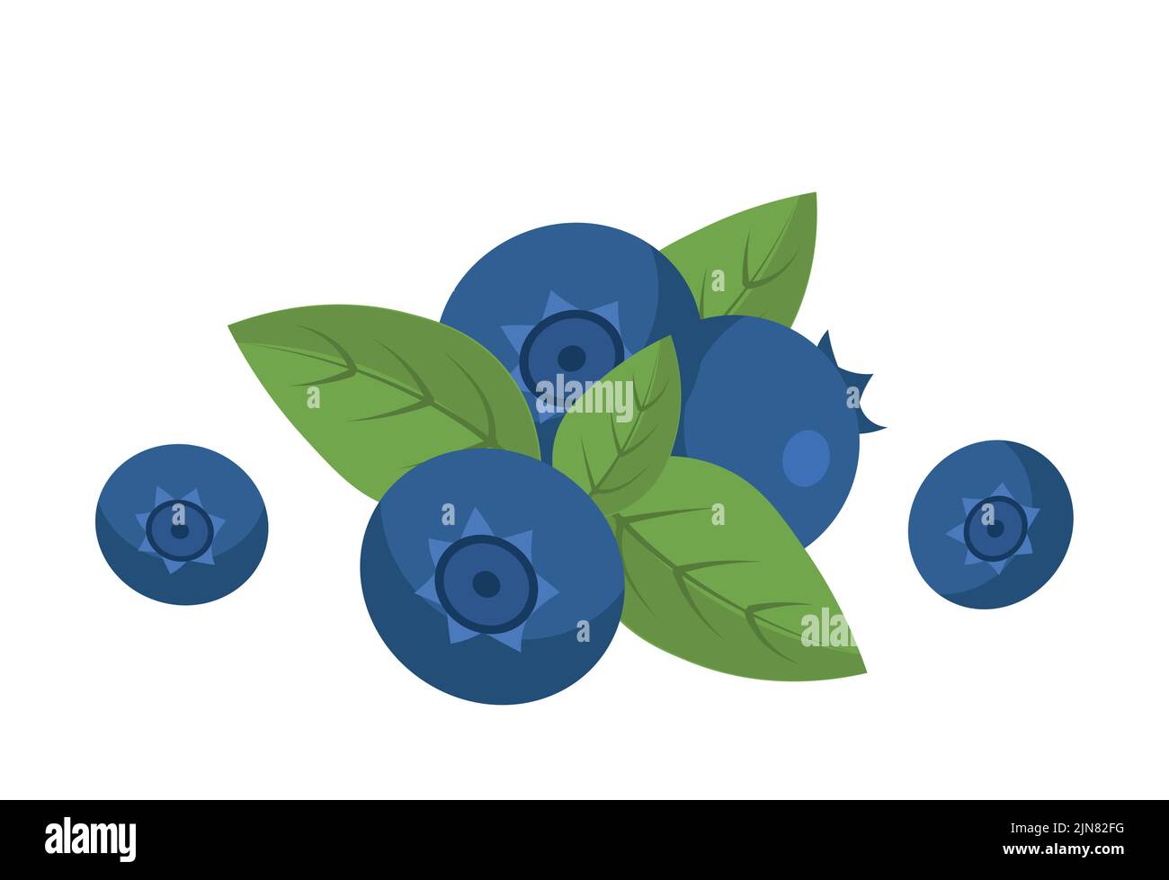 Natural blueberry icon Stock Vector Image & Art - Alamy