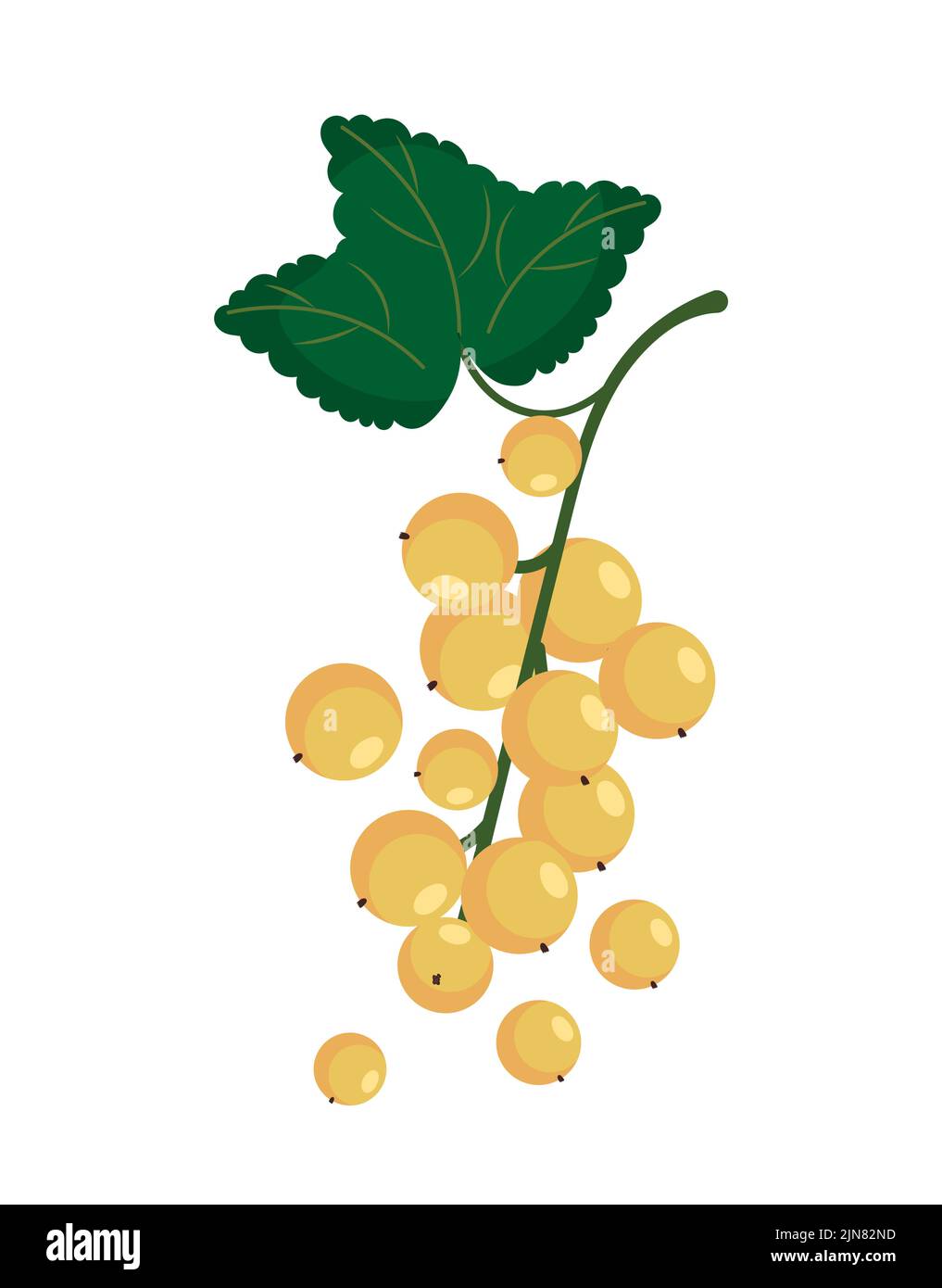 Natural gooseberry icon Stock Vector Image & Art - Alamy