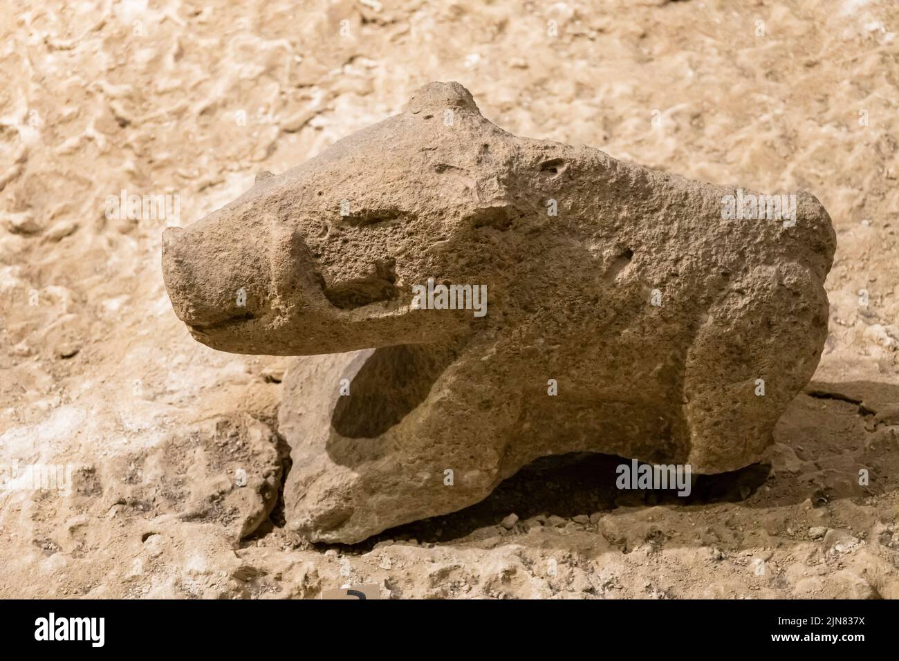 Boar statue, Sanlıurfa Museum, neolithic age, from Gobekli tepe(gobeklitepe), limestone, Sanliurfa(Urfa), Turkey, Asia Minor, Asia Stock Photo