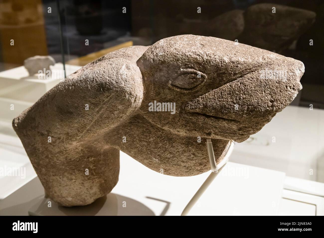 Bird figure, stone carving, Sanlıurfa Museum, neolithic age, from Navali Cori, Sanliurfa(Urfa), Turkey, Asia Minor, Asia Stock Photo