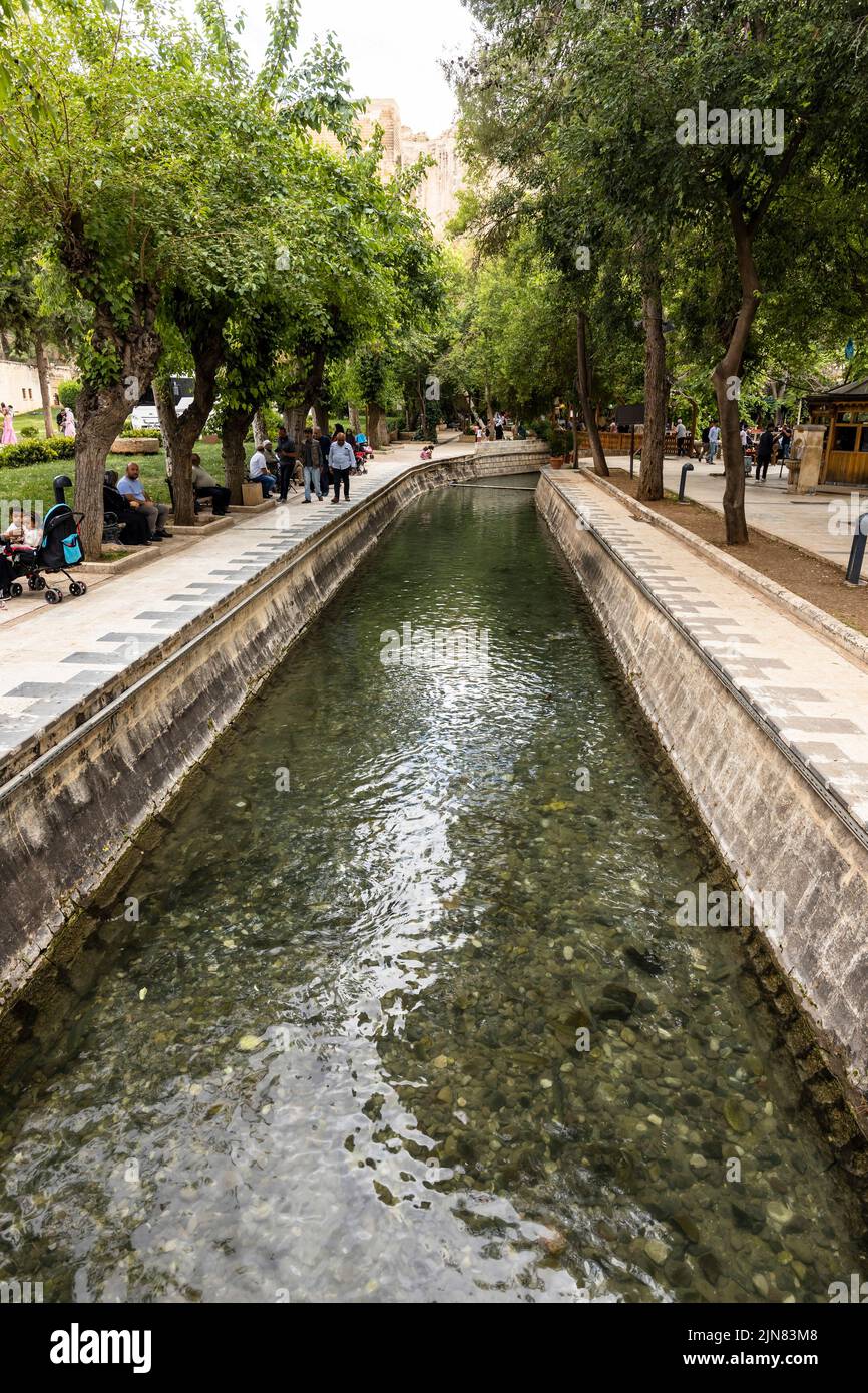 Ayn Zeliha Golu(lake), watercourse, ancient Edessa, hometown of Abraham, Sanliurfa(Urfa), Sanlıurfa province, Turkey, Asia Minor, Asia Stock Photo