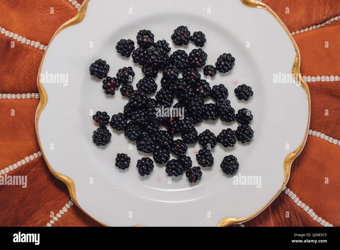 wild picked Blackberries on white plate Stock Photo