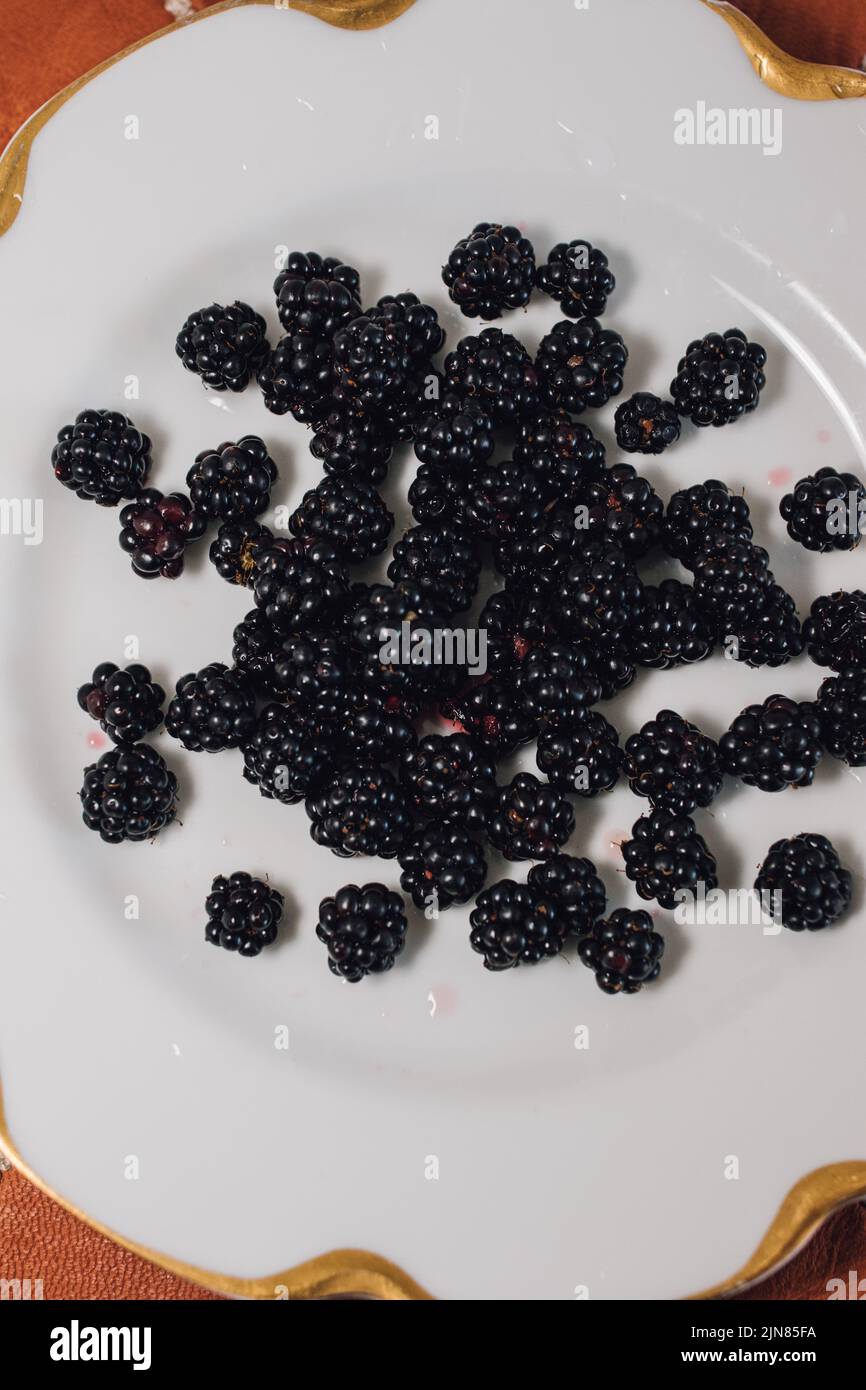 wild picked Blackberries on white plate Stock Photo