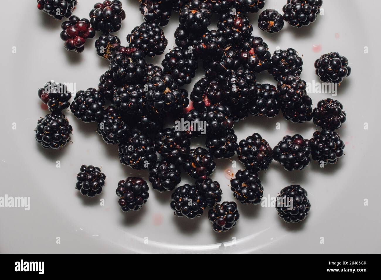 wild picked Blackberries on white plate Stock Photo