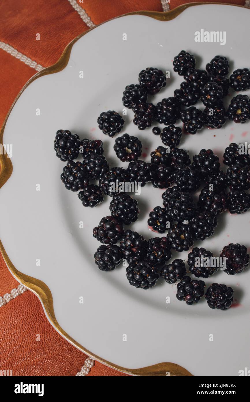 wild picked Blackberries on white plate Stock Photo