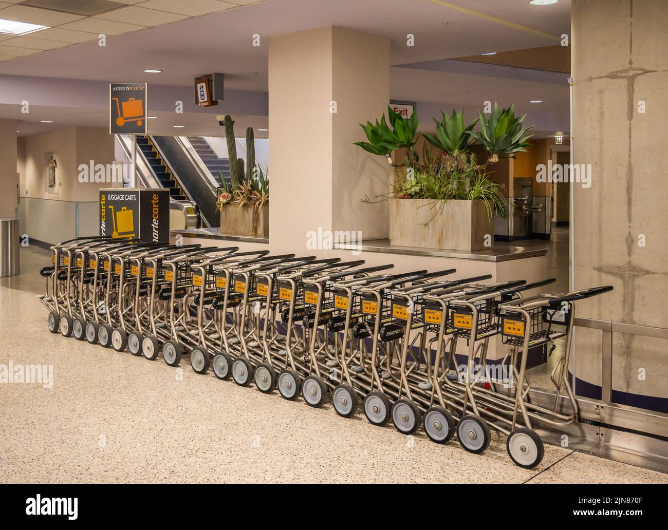 Luggage carts at Tucson Airport Stock Photo Alamy