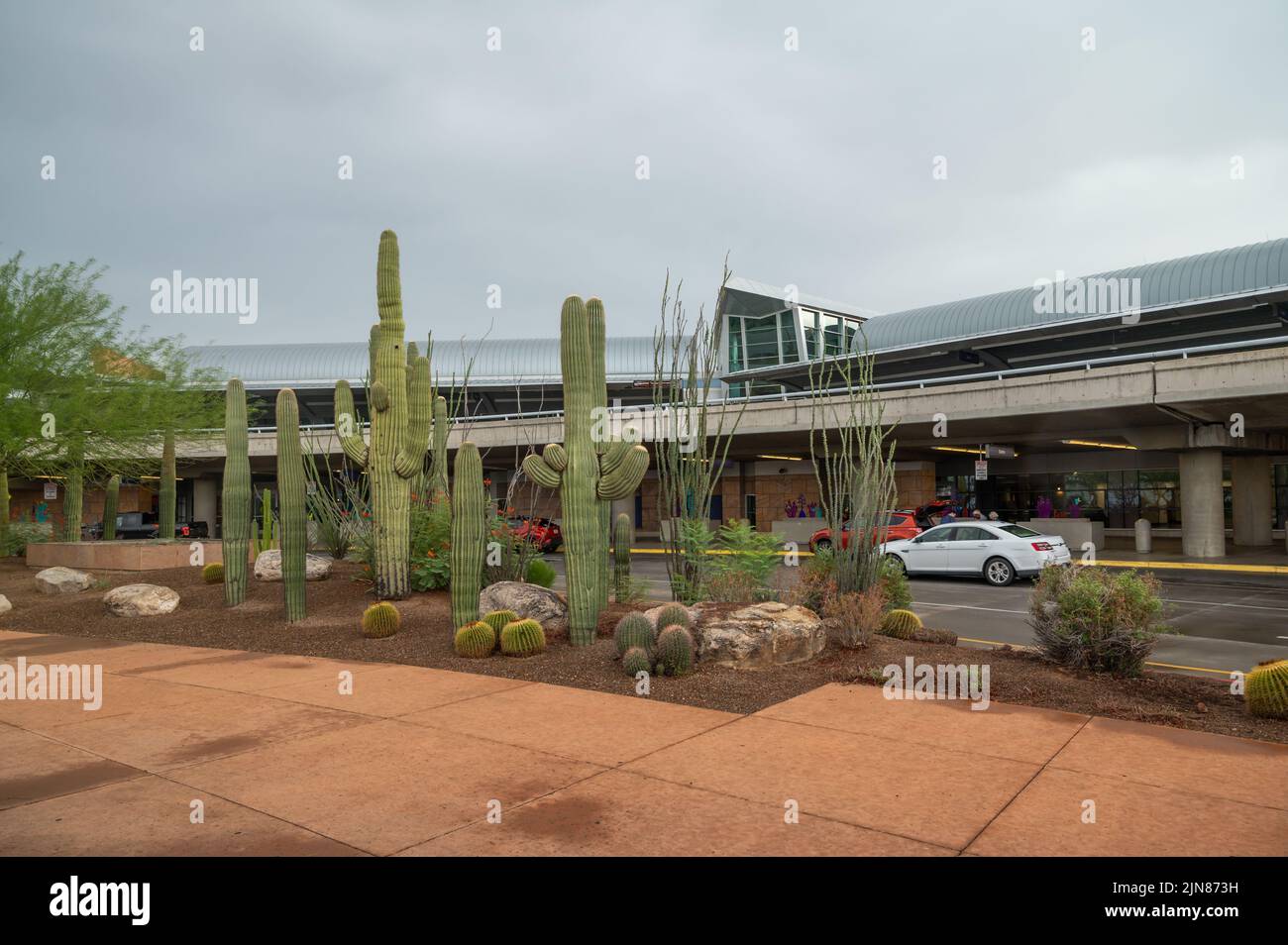 Entrance of Tucson International Airport, Arizona, USA. Beautiful large saguaro cactus landscaping Stock Photo