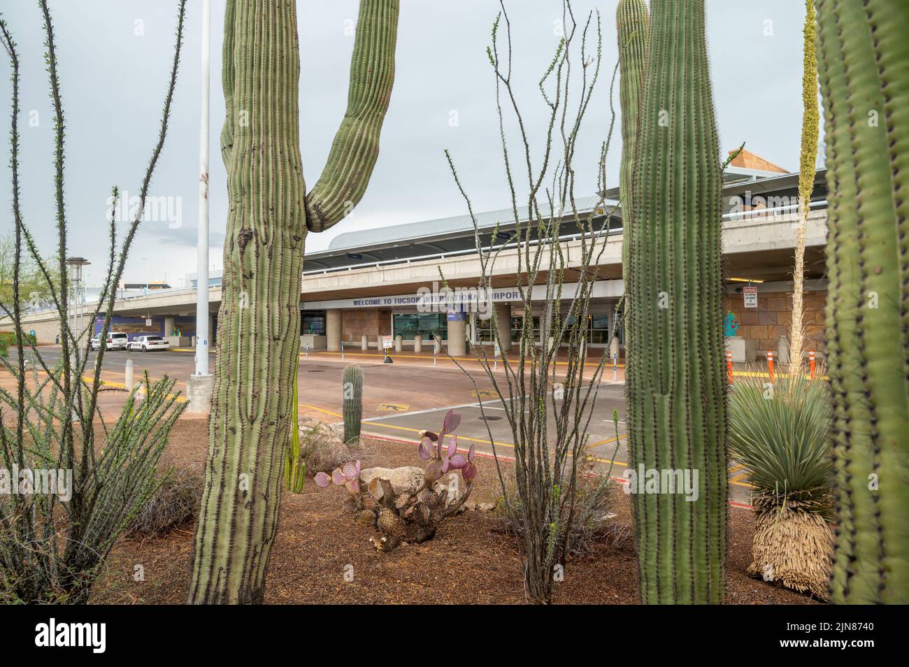 Entrance of Tucson International Airport, Arizona, USA. Beautiful large  saguaro cactus landscaping Stock Photo - Alamy
