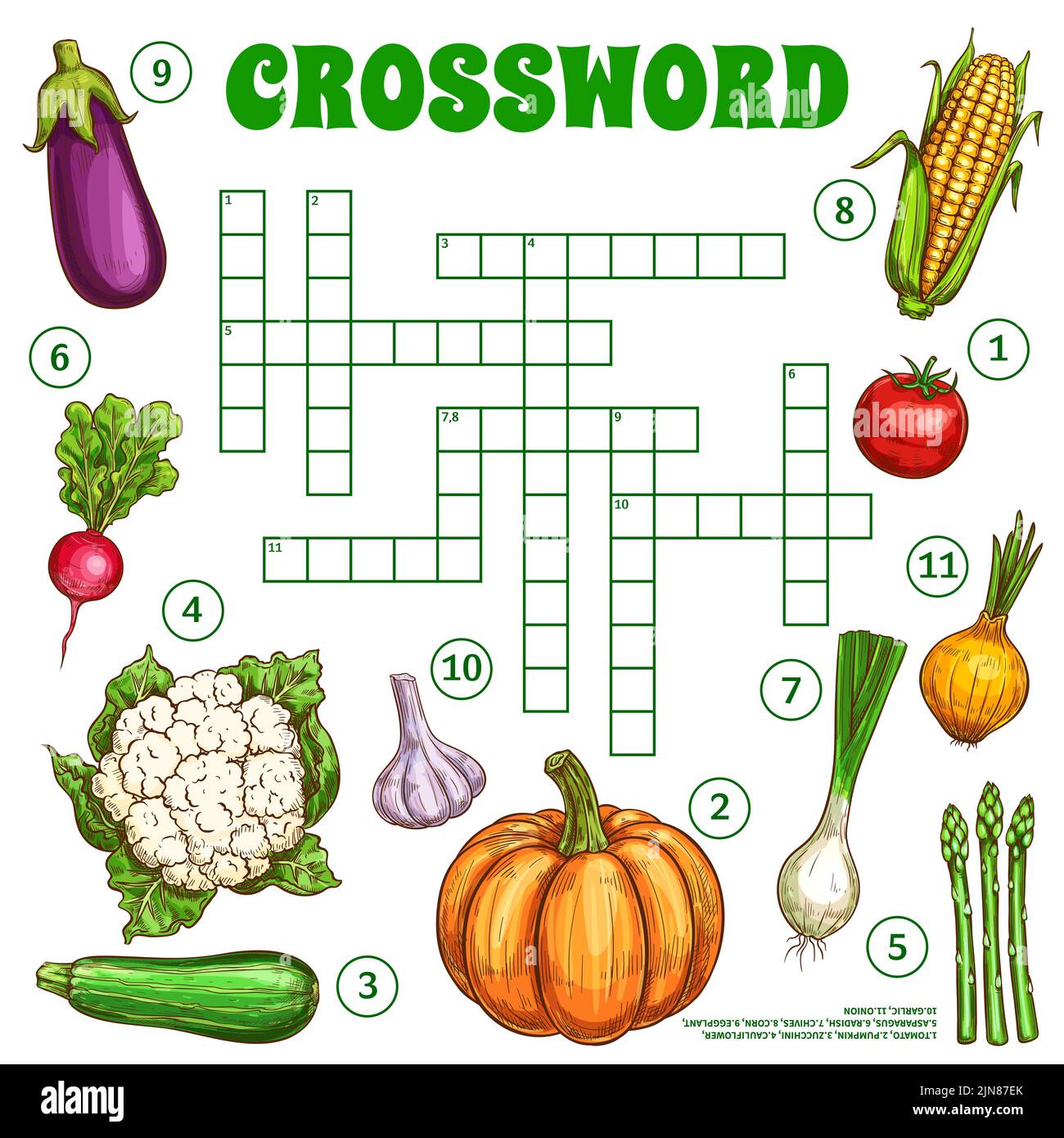 Raw sketch vegetables. Crossword grid worksheet. Find a word quiz game