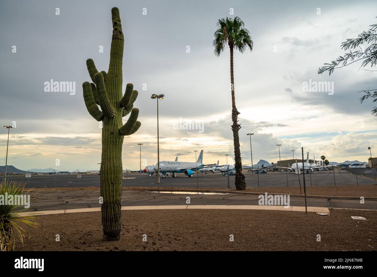 Airplanes on tarmac at Tucson airport. Saguaro cactus in foreground.  Stock Photo