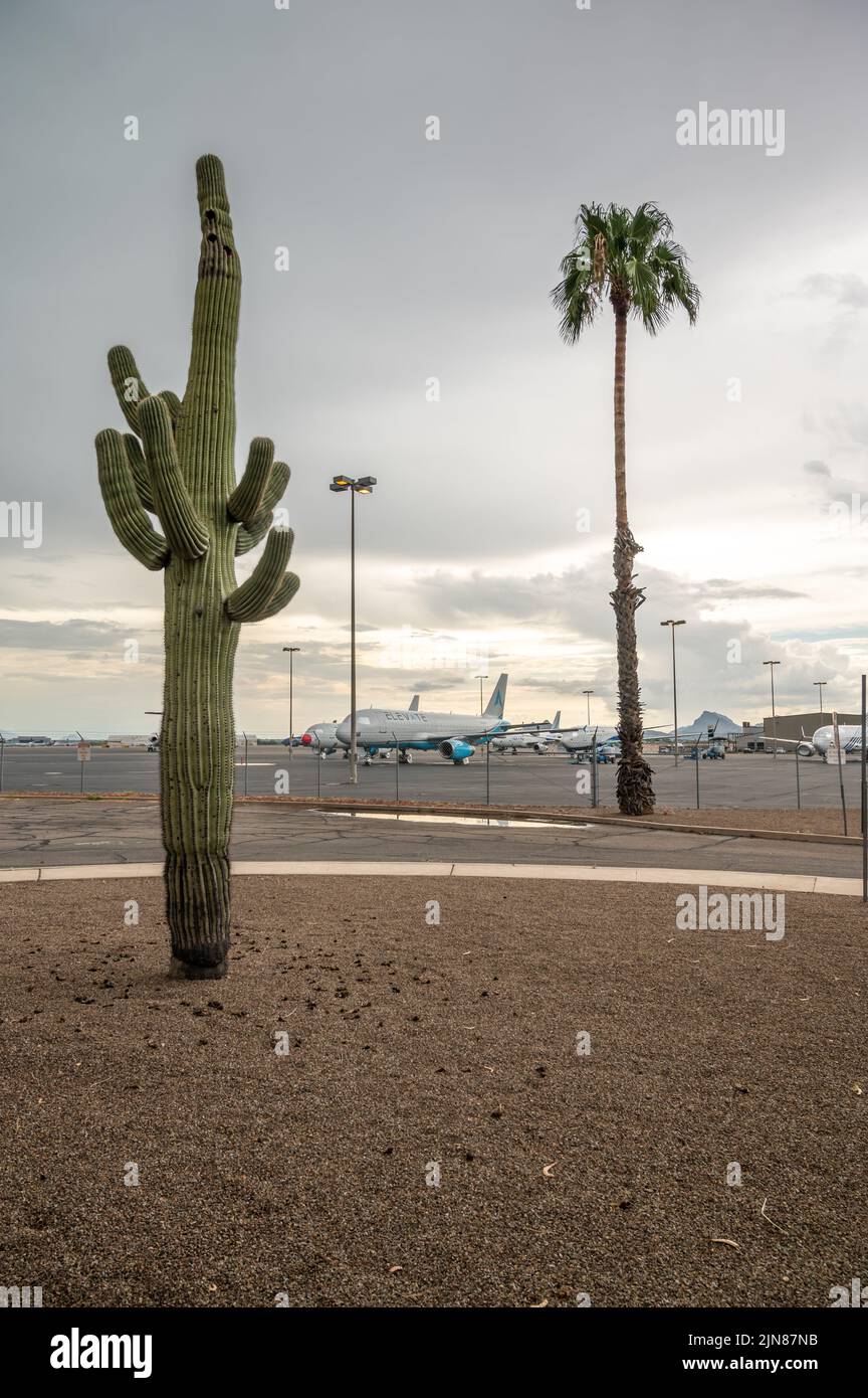 Airplanes on tarmac at Tucson airport. Saguaro cactus in foreground. Vertical image.  Stock Photo