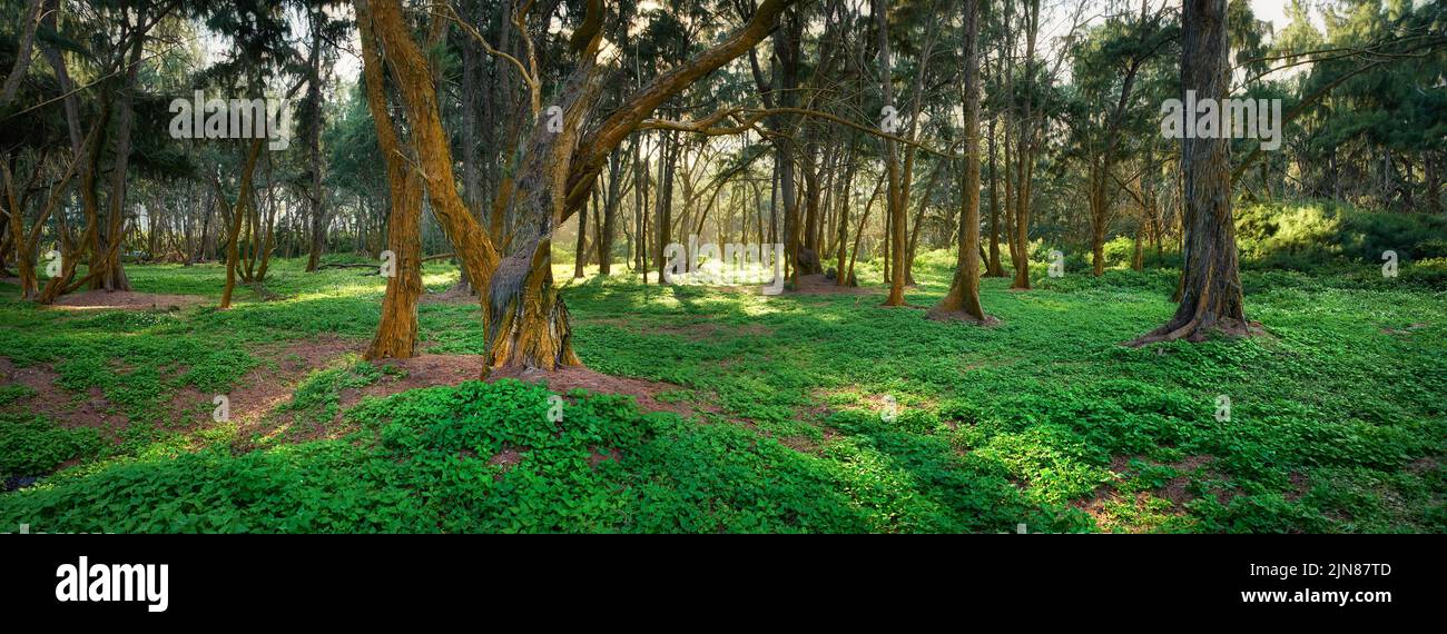 Bellows Field Beach Park - Oahu, Hawaii. A photo of the famous Hawaiian ...