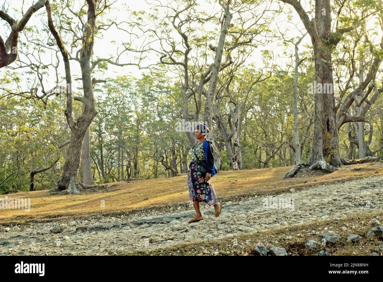 Yuliana Fuka, villager and a part time ecotourism guide, is walking on a rural road between forest near Fatumnasi village in South Central Timor, East Nusa Tenggara, Indonesia. Stock Photo
