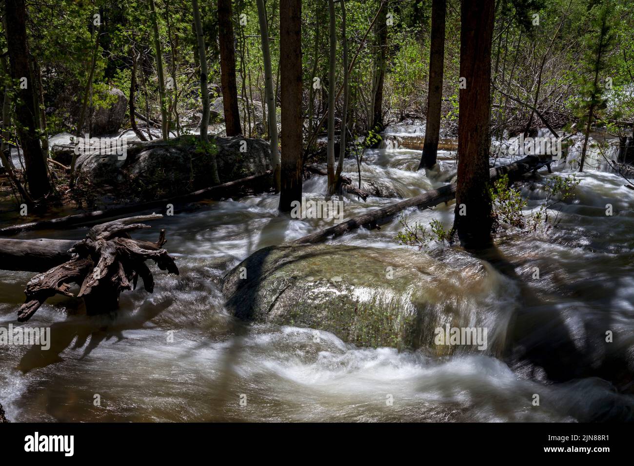 The Middle Popo Agie River overflows its banks and runs through the forest lining its banks at Sinks Canyon State Park near Lander, Wyoming. Stock Photo