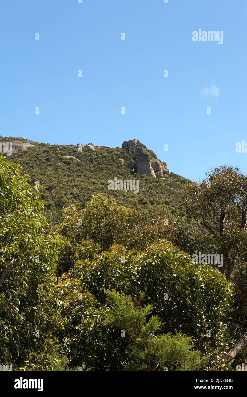 Mount Oberon is 558 metres high, at the Southern tip of Wilsons Promontory National Park, behind Tidal River, in Victoria, Australia. Stock Photo
