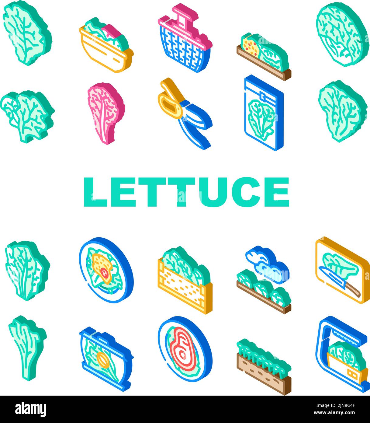 lettuce salad leaf vegetable icons set vector Stock Vector Image & Art ...