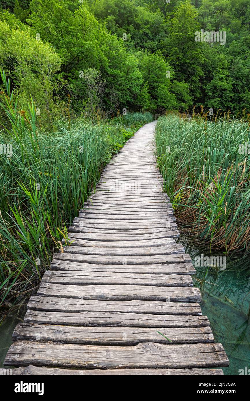 Plitvice, Croatia - Wooden walkway in Plitvice Lakes National Park on a bright summer day with green summer foliage Stock Photo