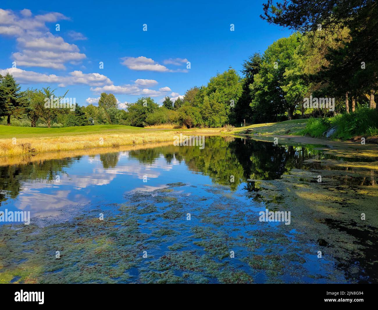 A beautiful goal course view from a small pond with tree reflections on ...