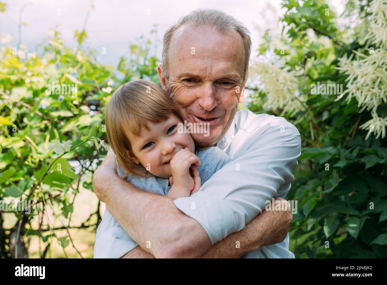 A little girl hugs her grandfather on a walk in the summer outdoors.  Stock Photo