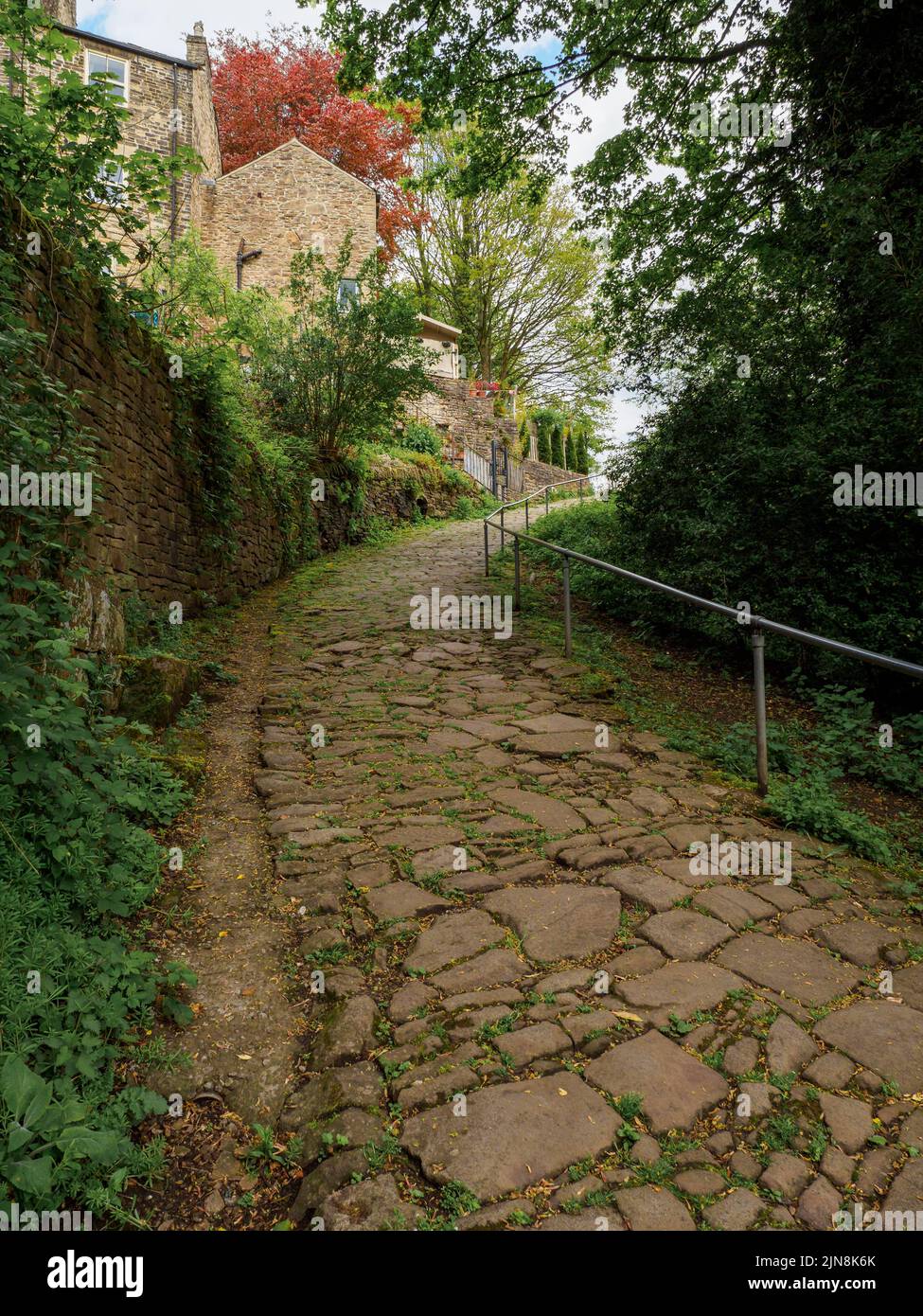 An empty old cobblestone footpath between trees and houses leading to