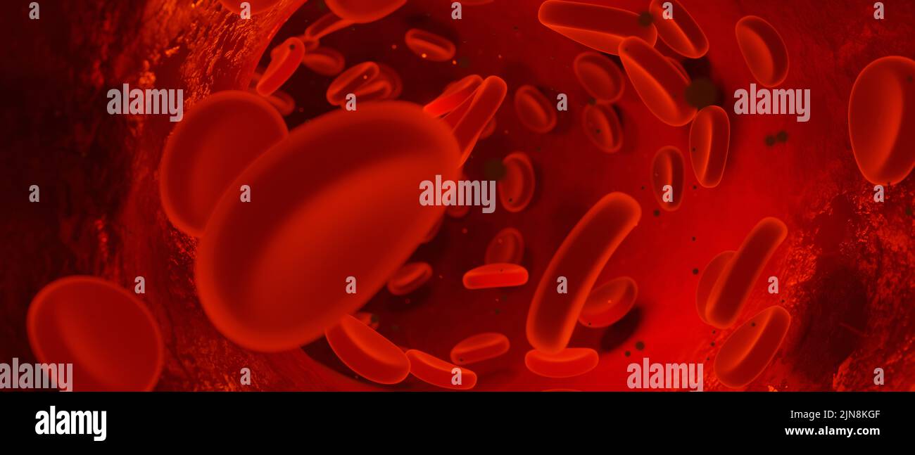 Red blood cells circulating blood vessels 3D render Stock Photo