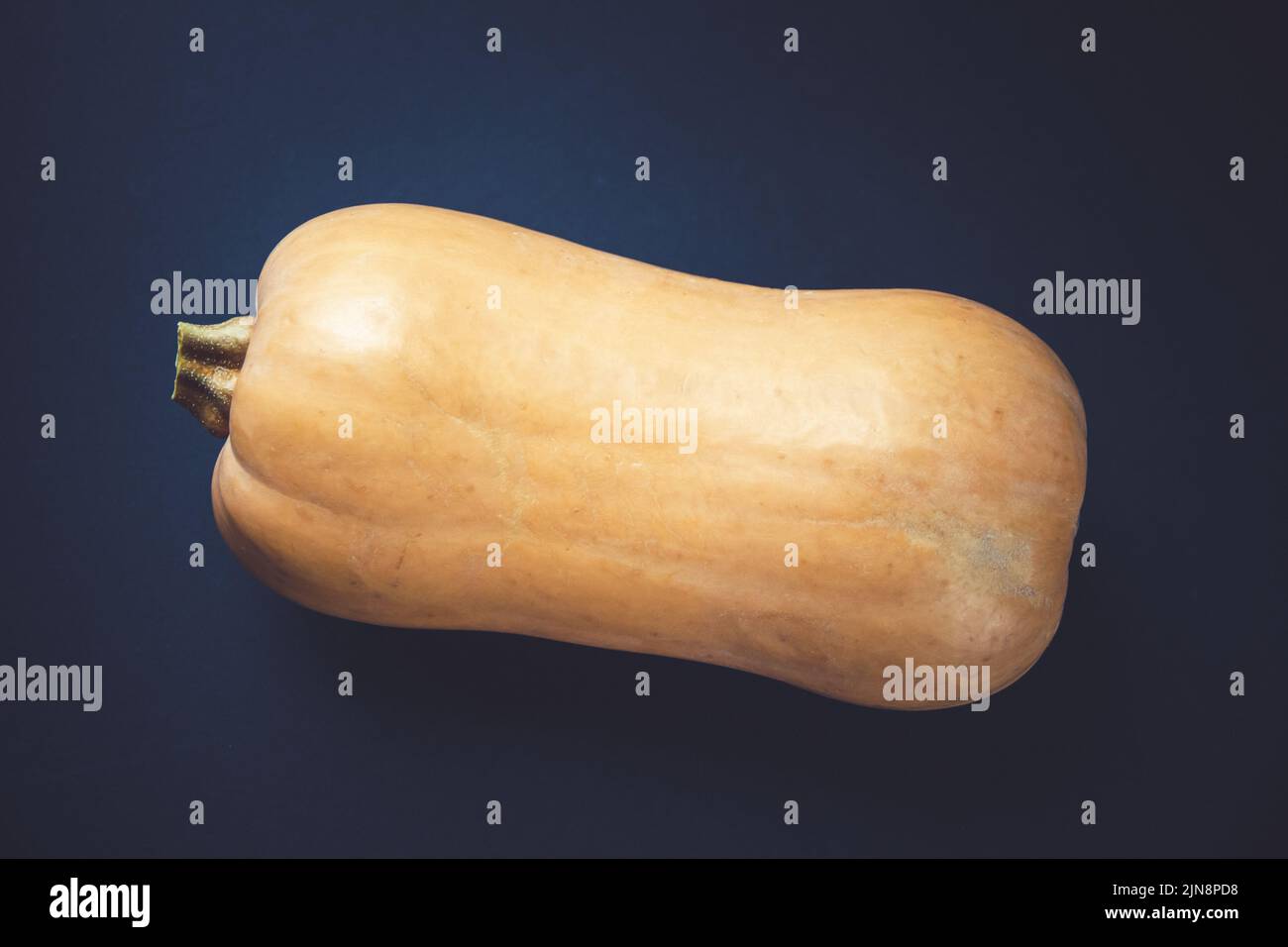 Fresh organic butternut squash isolated on black background Stock Photo