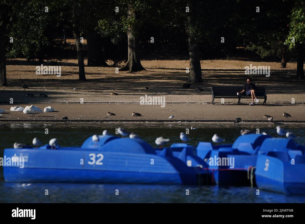An early morning visitor sits on a park bench near the Serpentine in Hyde Park, London. The Met Office has issued an amber warning for extreme heat covering four days from Thursday to Sunday for parts of England and Wales as a new heatwave looms. Picture date: Wednesday August 10, 2022. Stock Photo