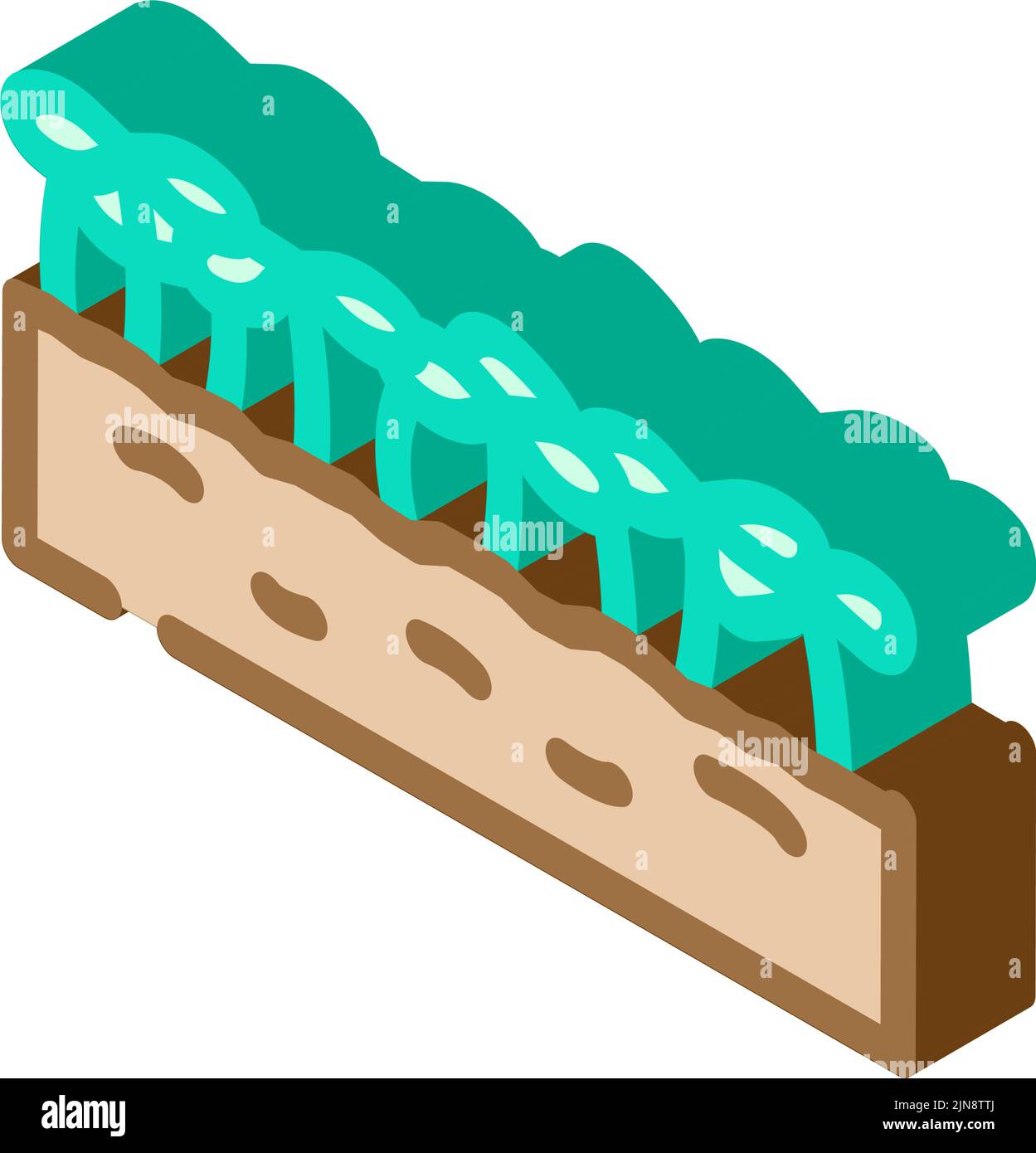 seedlings lettuce plant isometric icon vector illustration Stock Vector ...