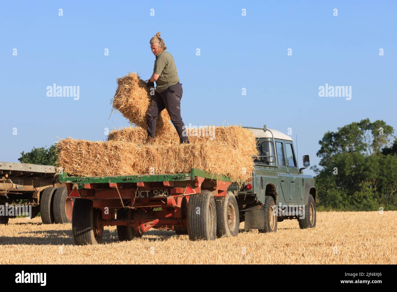 Uffington, Lincolnshire, UK. 10th August 2022 :- Uffington, Lincolnshire. A farmer collects straw bales in the cool of the morning as the Met Office issue another hight temperature warning. The bales will be used to feed their livestock in the Winter months Credit: Tim Scrivener/Alamy Live News Stock Photo