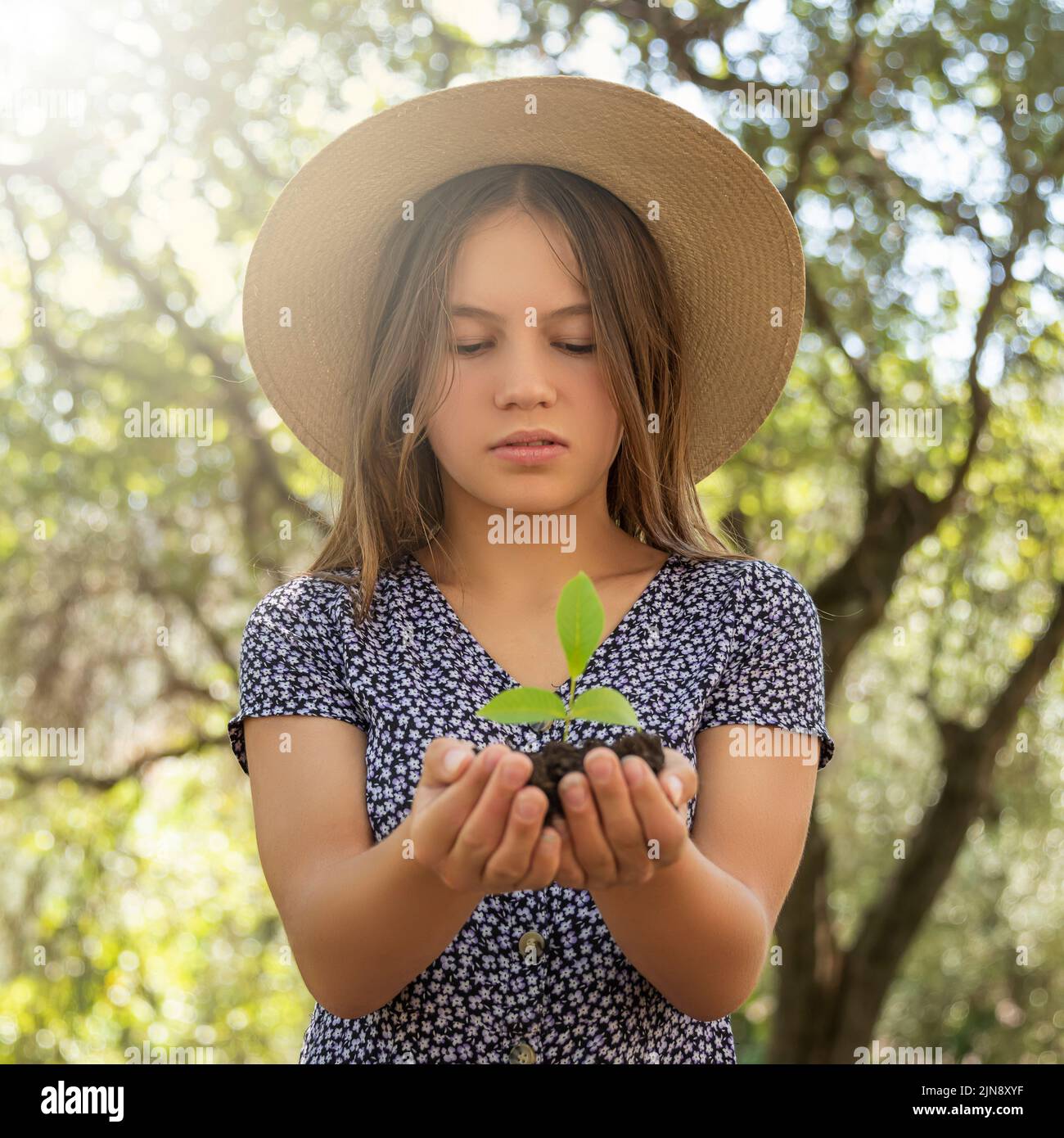 Child holding young plant in hands. Eco concept Stock Photo