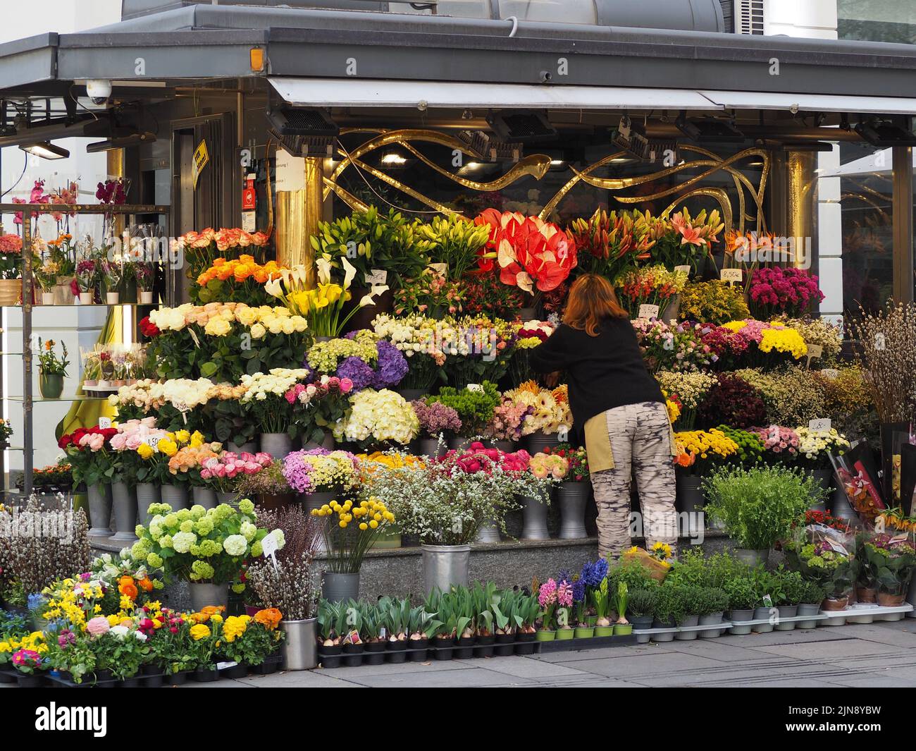 Flower Shop in the streets of vienna Stock Photo Alamy