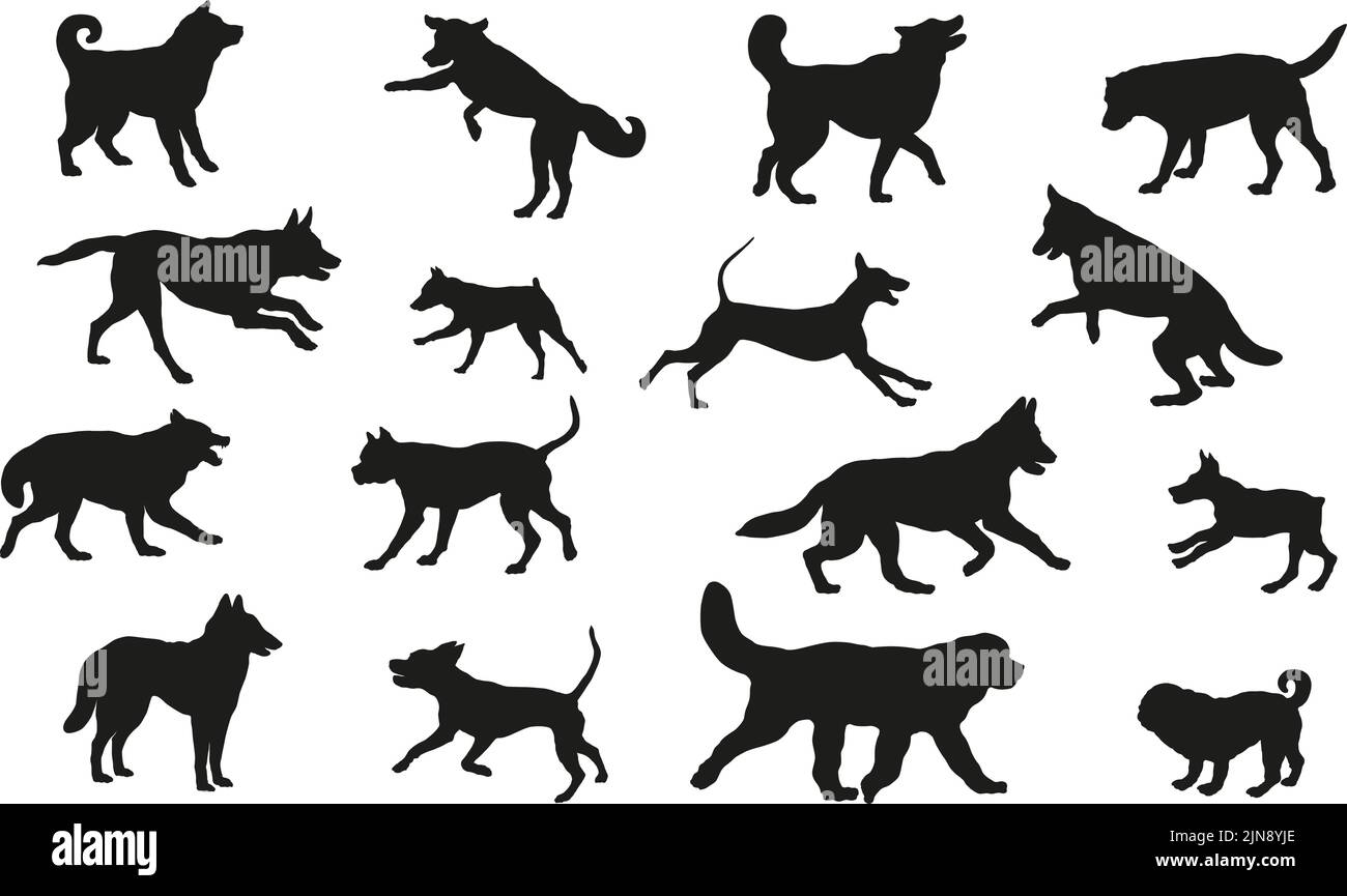 Group of dogs various breed. Black dog silhouette. Running, standing, walking, jumping dogs. Isolated on a white background. Pet animals. Vector. Stock Vector