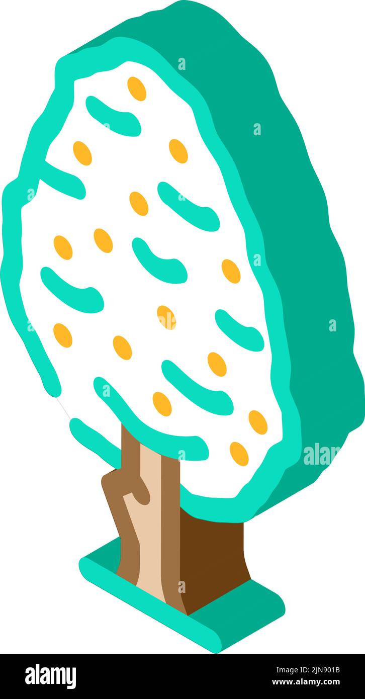 pear tree isometric icon vector illustration Stock Vector Image & Art - Alamy