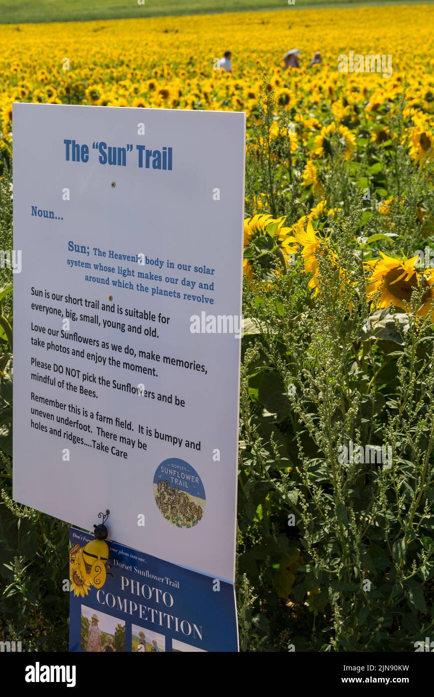 The Sun Trail information board at Maiden Castle Farm, Dorchester, Dorset UK in August Stock Photo
