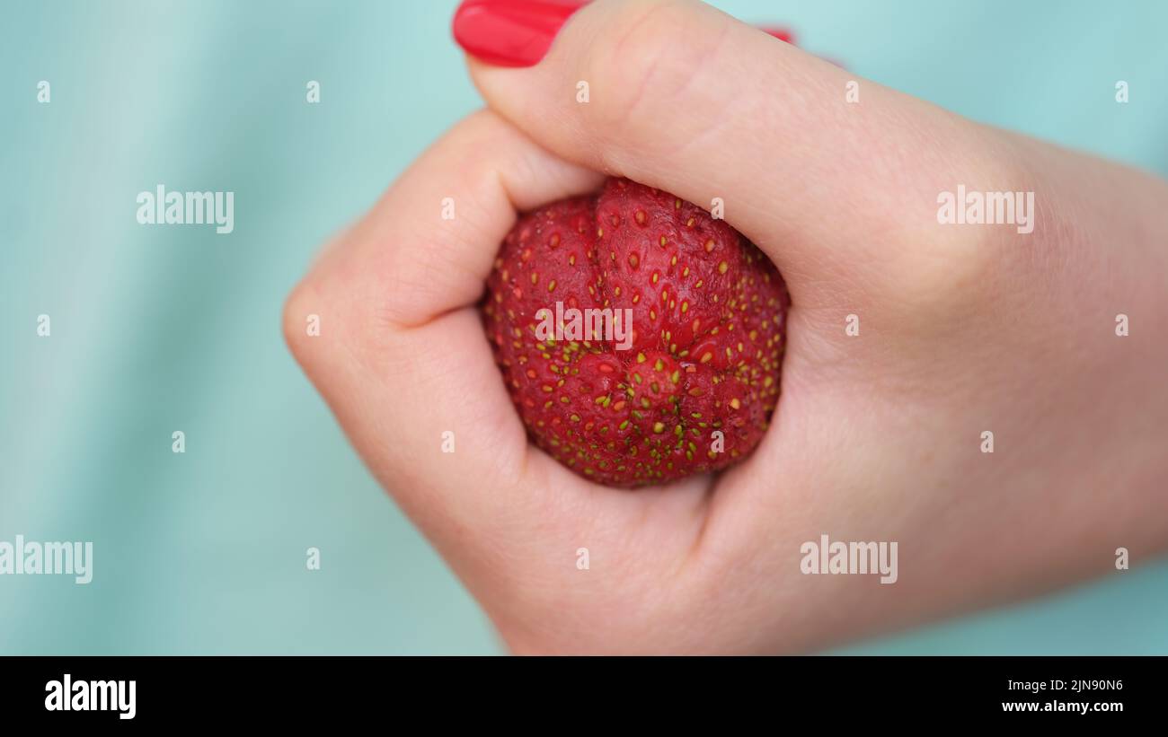 Clenched strawberries in fist in form of constipation of colon Stock Photo