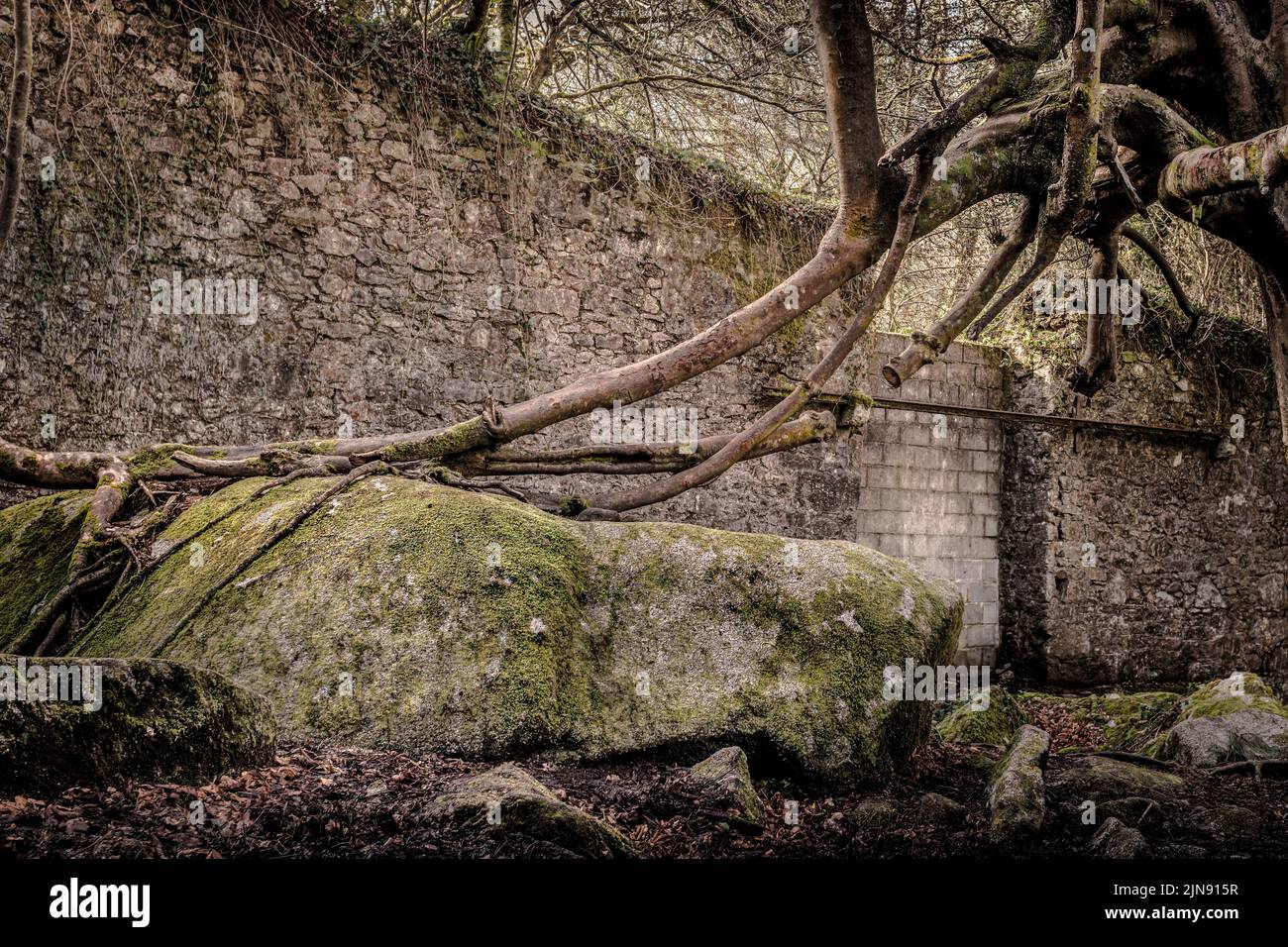 The historic remains of the buildings used in the manufacture of