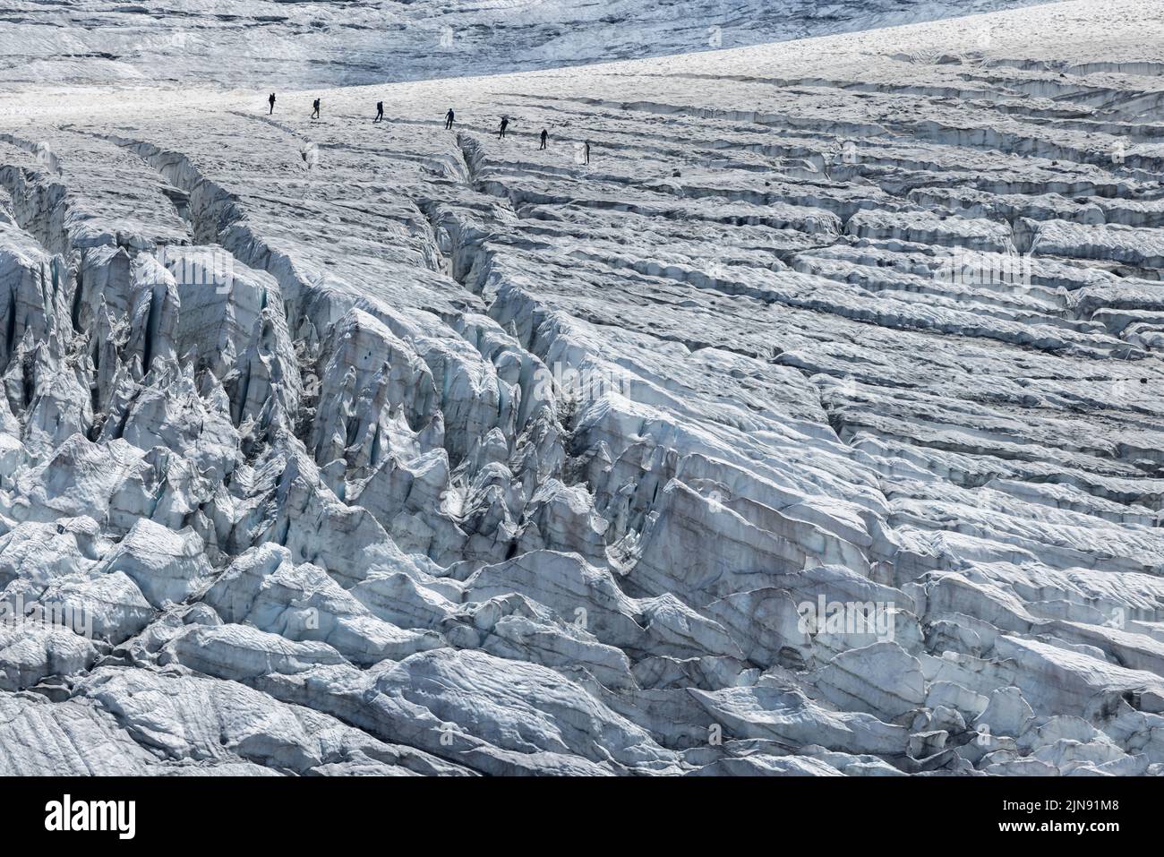 roped group of mountaineers on the ice of Steingletscher in the Bernese Alps Stock Photo